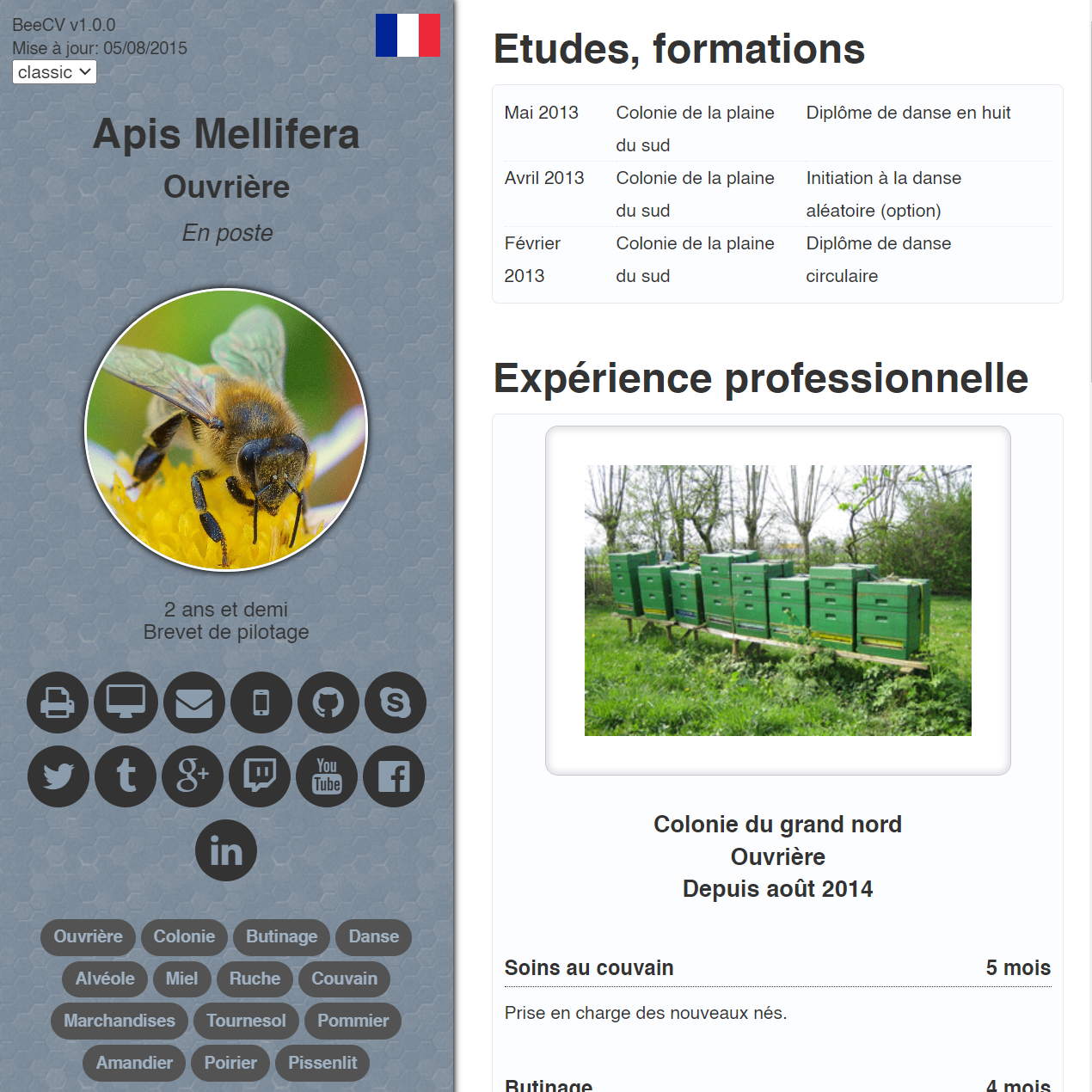 Image de l'application de mise en page de CV: 'beeCV'